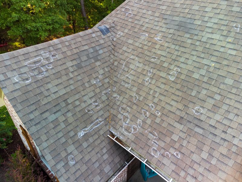 Asphalt Roof Inspection in Annapolis, MD