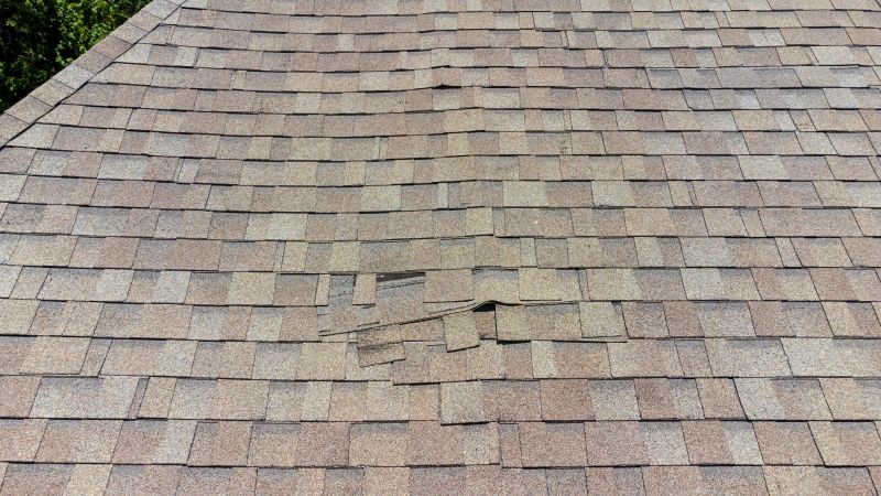 Asphalt Roof Inspection in La Plata, MD