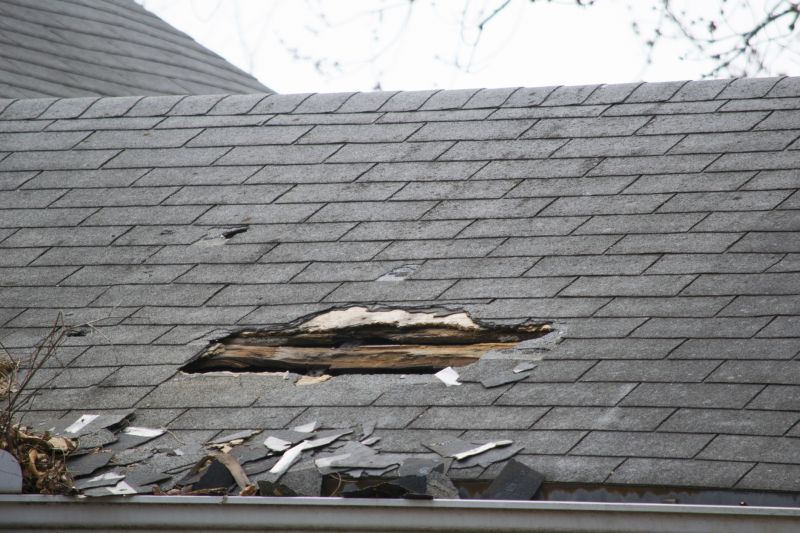 Asphalt Roof Leak Repair in Edgewater, MD