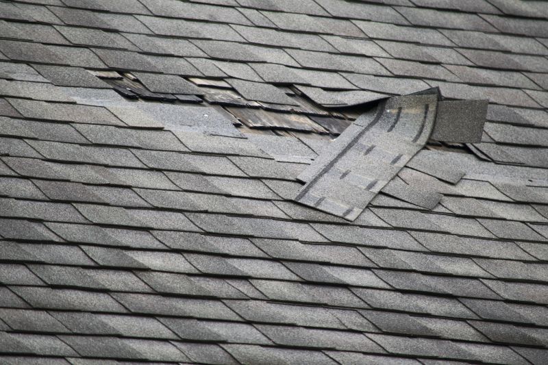 Asphalt Roof Leak Repair in Suitland, MD