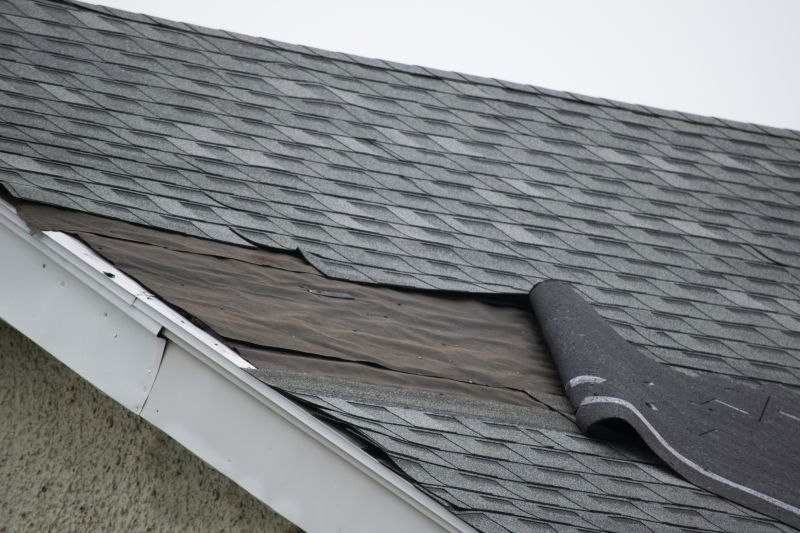 Asphalt Shingles Repair in Chesapeake Beach, MD