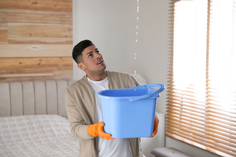 Bedroom Leak Repair in Dunkirk, MD