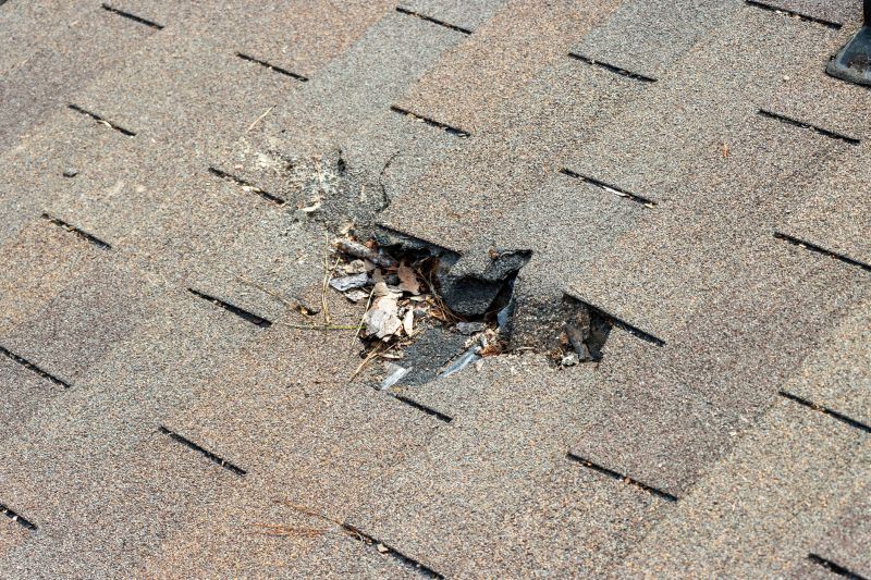 Damaged Roof Replacement in Deale, MD