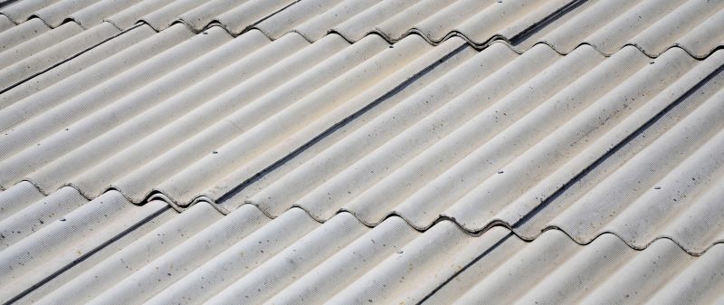 Dormer Roof Repair in Dunkirk, MD