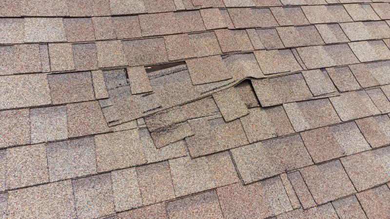 Roof Hail Damage Repair in Dunkirk, MD