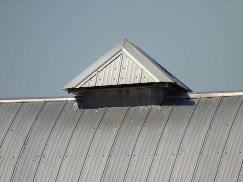 Tin Roof Installation in Lothian, MD